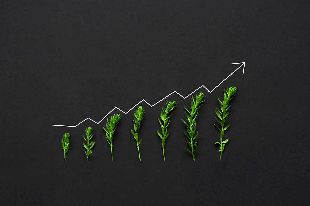 constant, methodical improvement