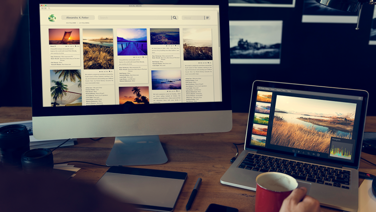 Website Developer at work